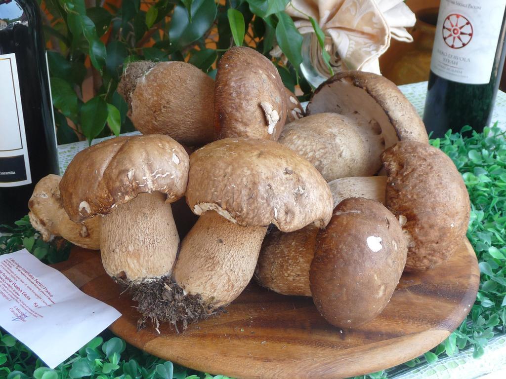 Albergo Ristorante Corsini Pavullo nel Frignano Εξωτερικό φωτογραφία